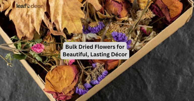 Bulk Dried Flowers for Beautiful, Lasting Décor