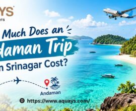 How Much Does an Andaman Trip from Srinagar Cost?