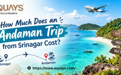 How Much Does an Andaman Trip from Srinagar Cost?