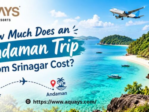 How Much Does an Andaman Trip from Srinagar Cost?