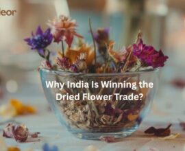 Why India Is Winning the Dried Flower Trade?