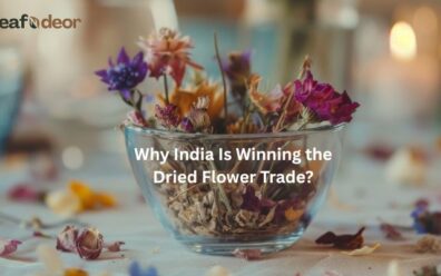 Why India Is Winning the Dried Flower Trade?