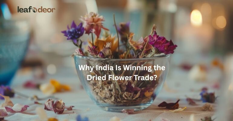 Why India Is Winning the Dried Flower Trade?